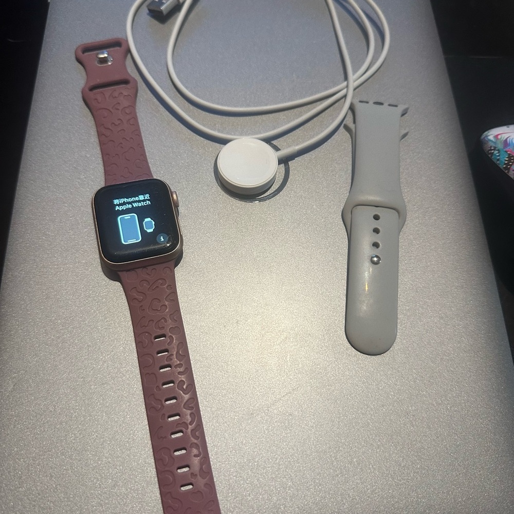 Apple Series 5 Smartwatch with Burgundy and Gray Bands